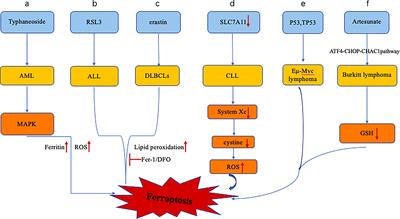 Ferroptosis in hematological malignant tumors